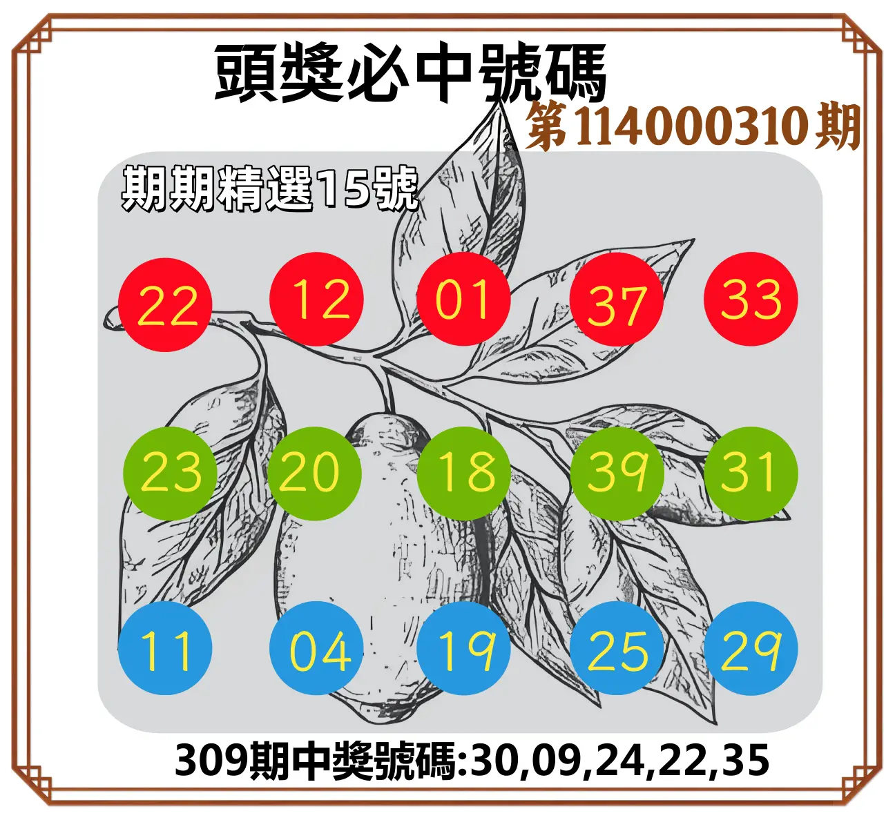 今彩539第114000310期(12/24)頭獎號碼