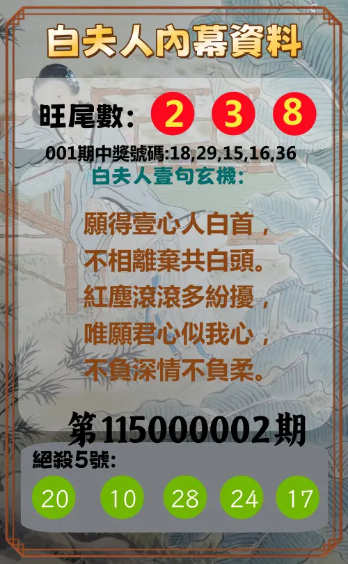 今彩539第115000002期(01/02)白夫人內幕資料