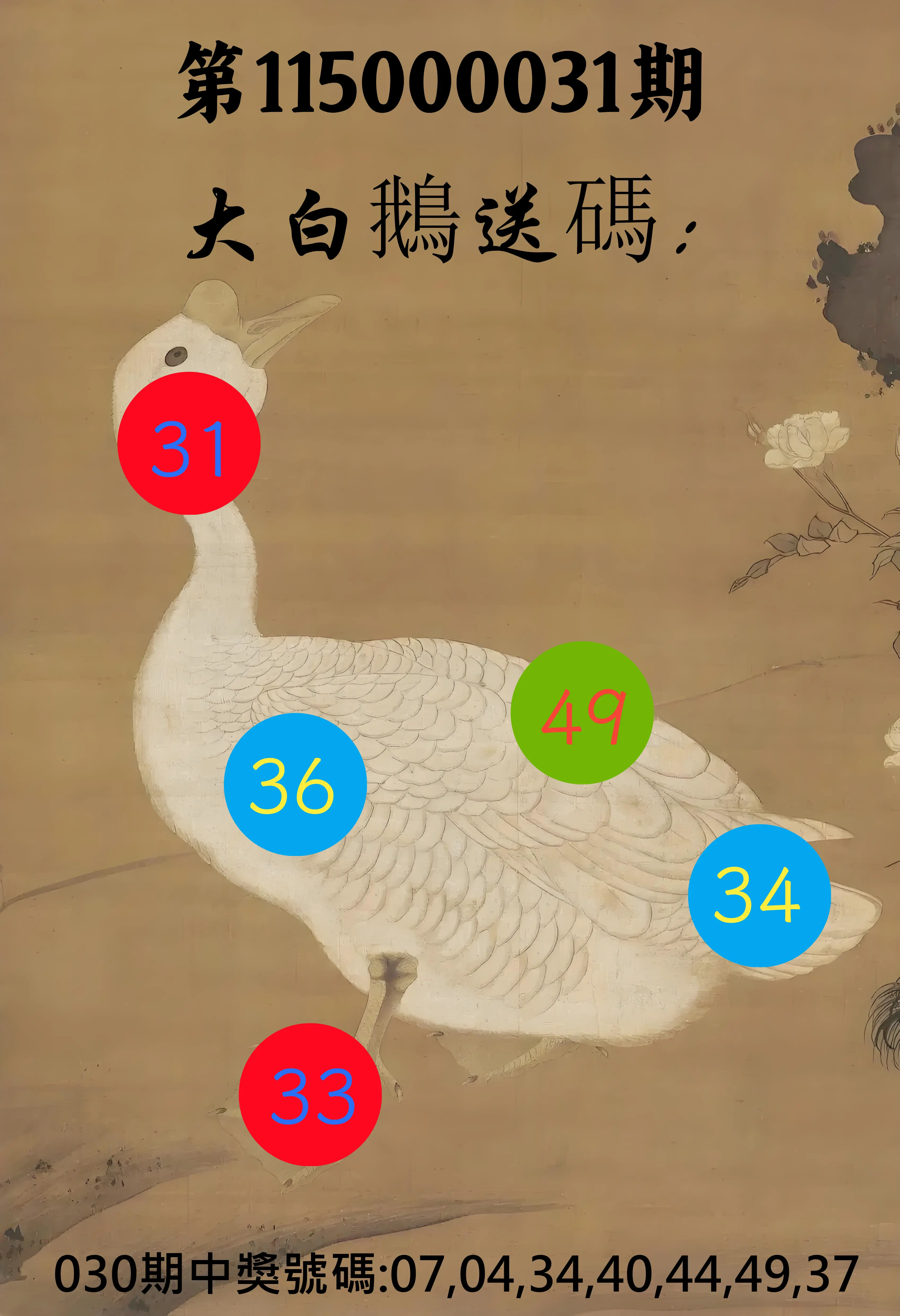 大樂透第115000031期(03/02)大白鵝送碼