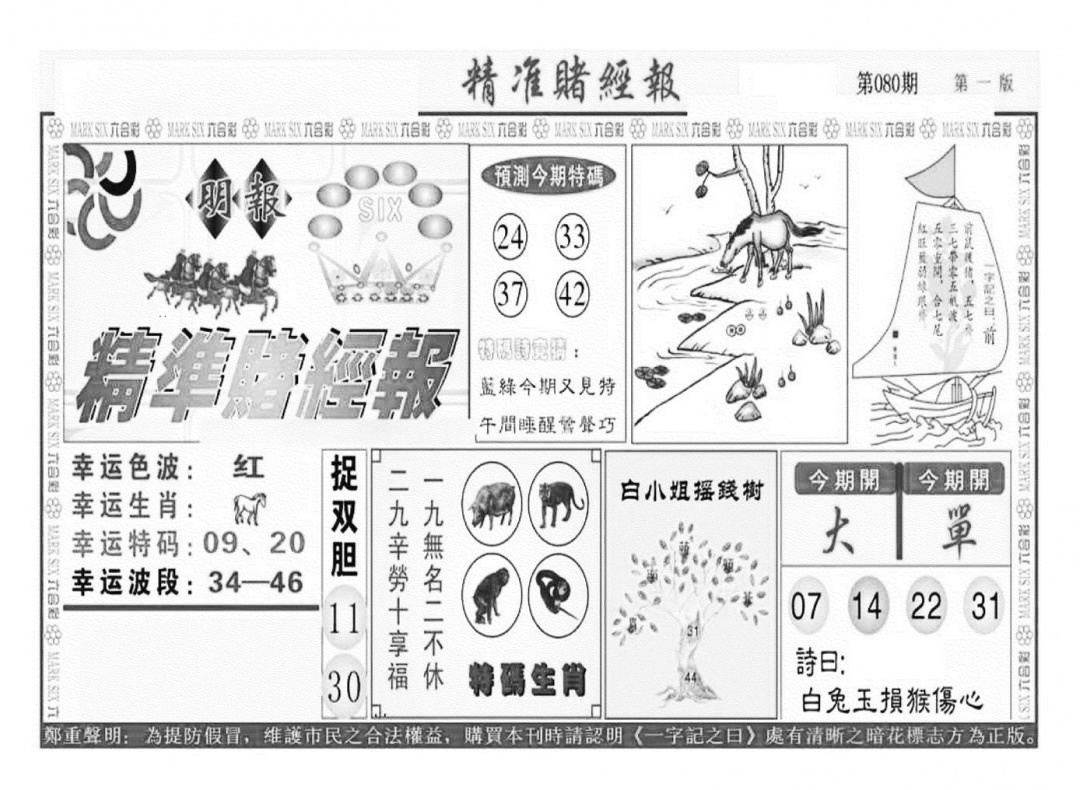 六合彩080期精准赌经报A（新图）(黑白)