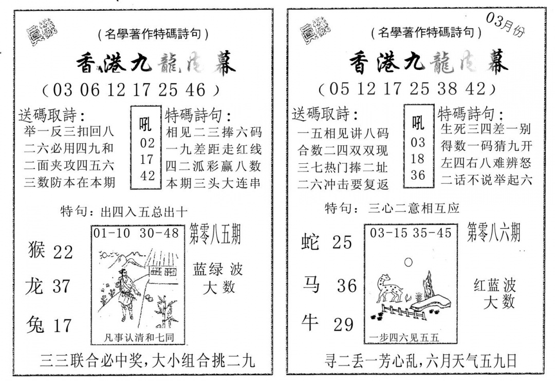 六合彩085期九龙内幕AB(黑白)