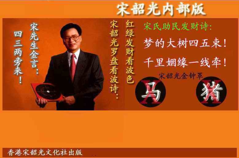 六合彩063期宋韶光内部版(另版)