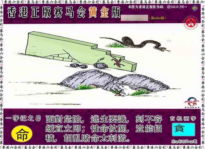 六合彩080期赛马会黄金版