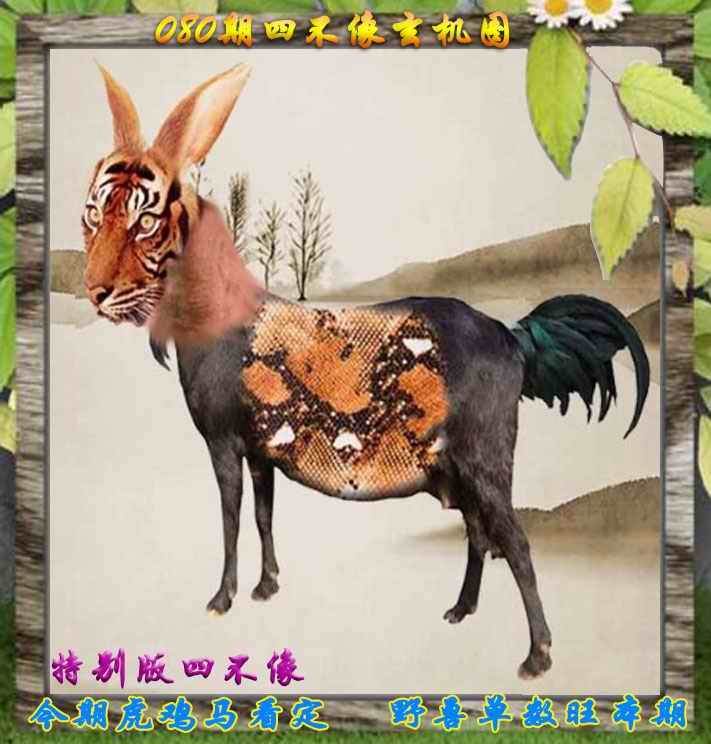 六合彩080期四不像特别版