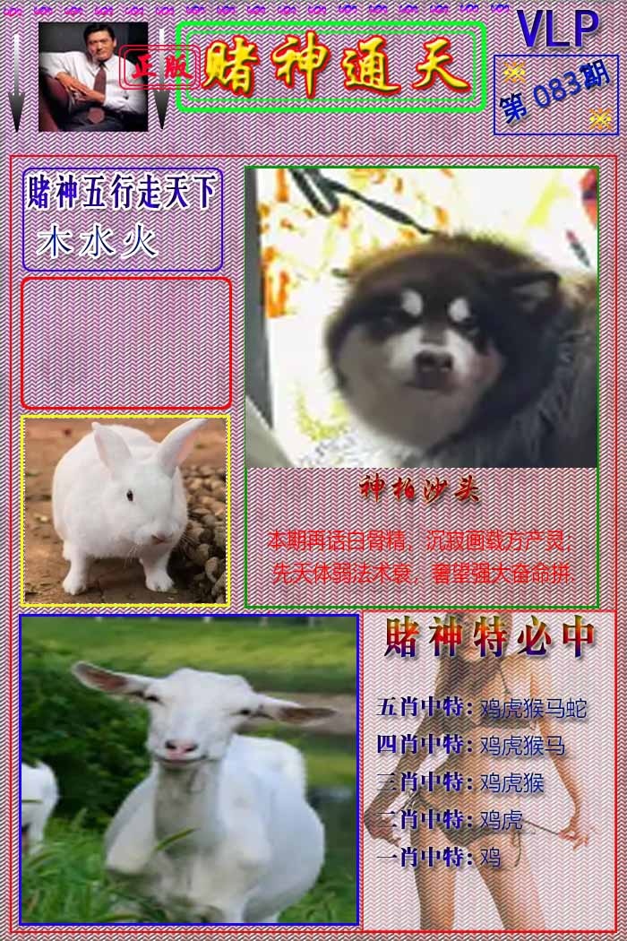六合彩083期赌神通天报