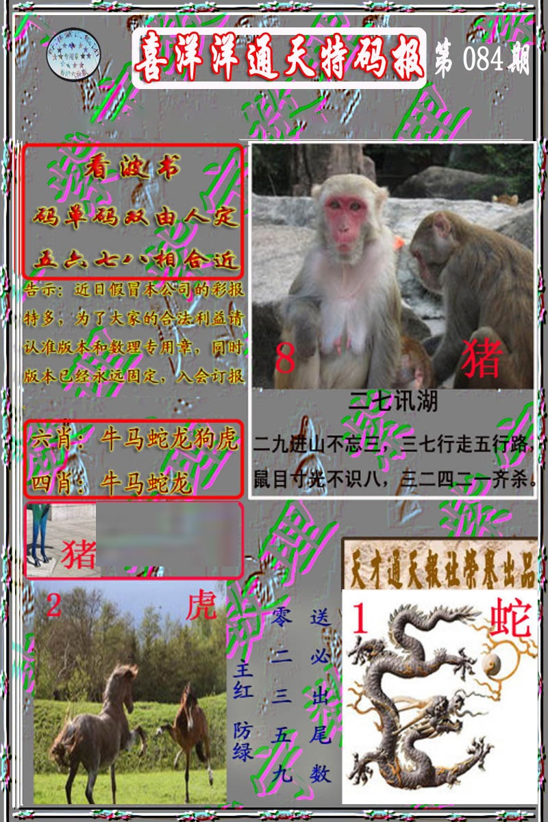 六合彩084期洋通报