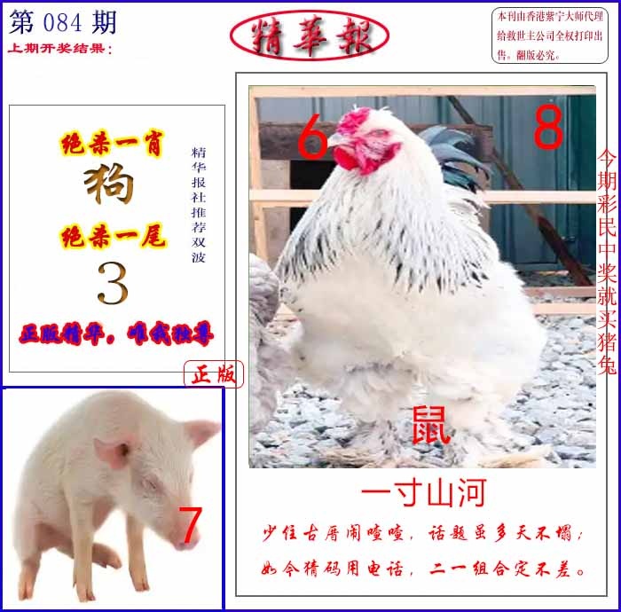 六合彩084期新精华报报