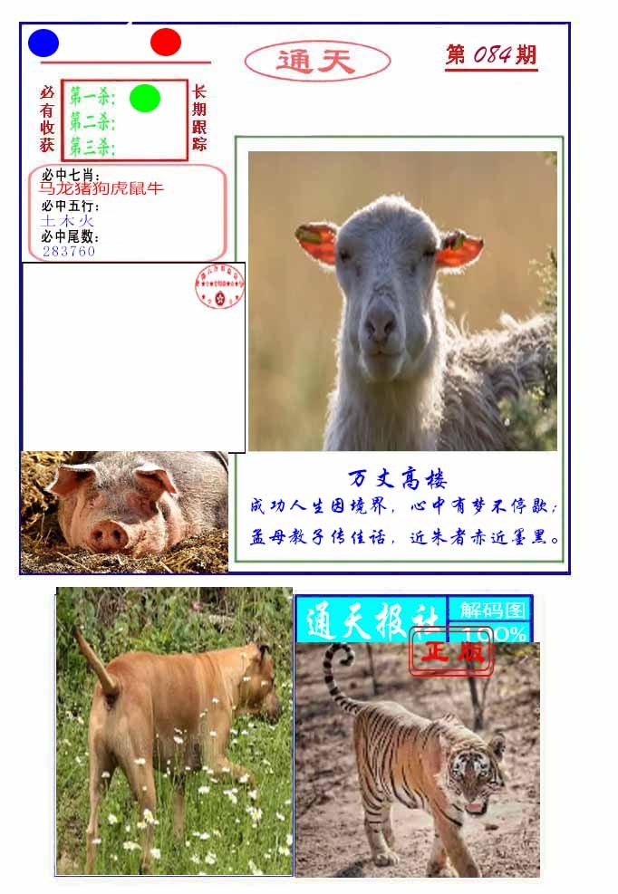 六合彩084期通天杀波图2
