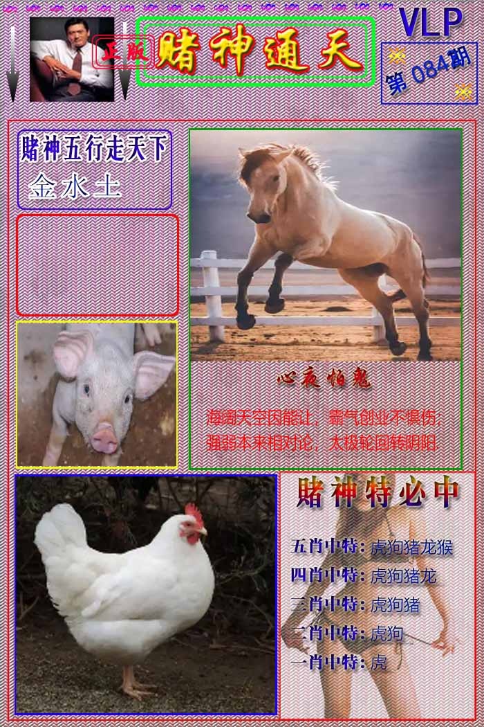 六合彩084期赌神通天报