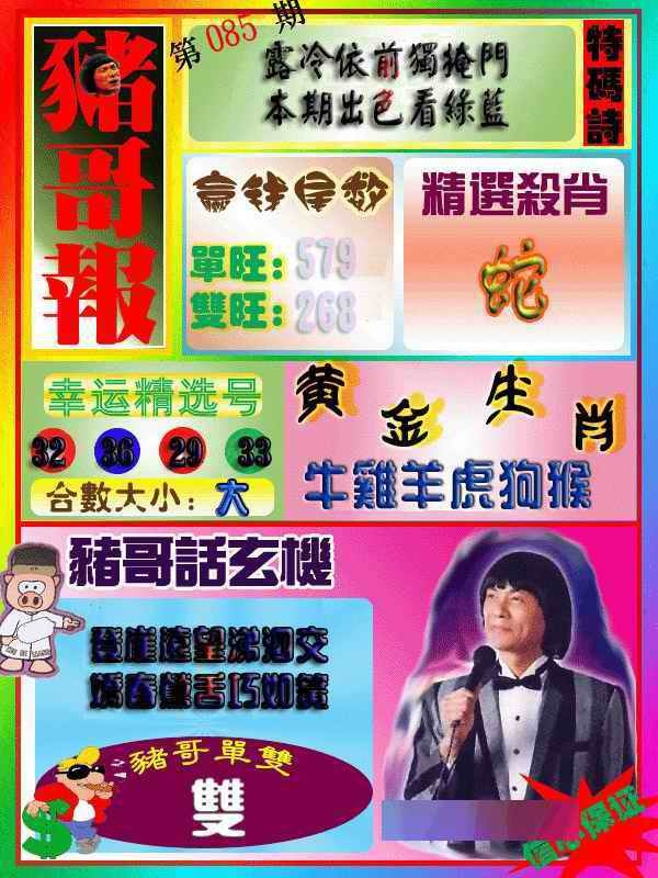六合彩085期猪哥报