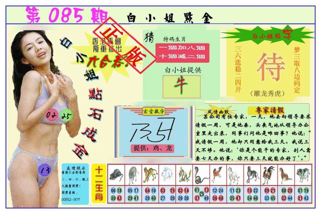 六合彩085期白小姐点金