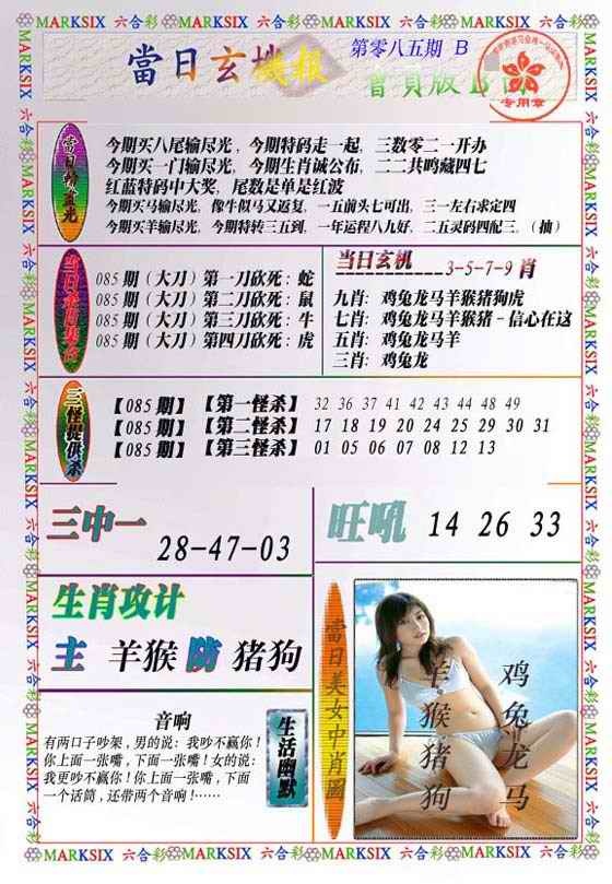 六合彩085期当日玄机-2