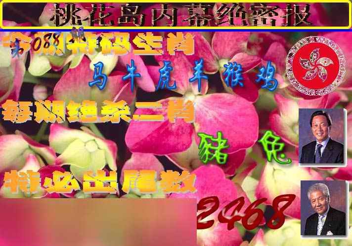 六合彩088期桃花岛内幕报