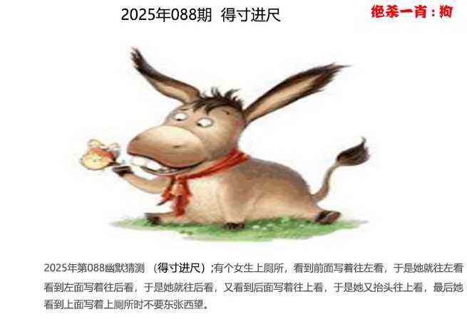 六合彩088期幽默猜测